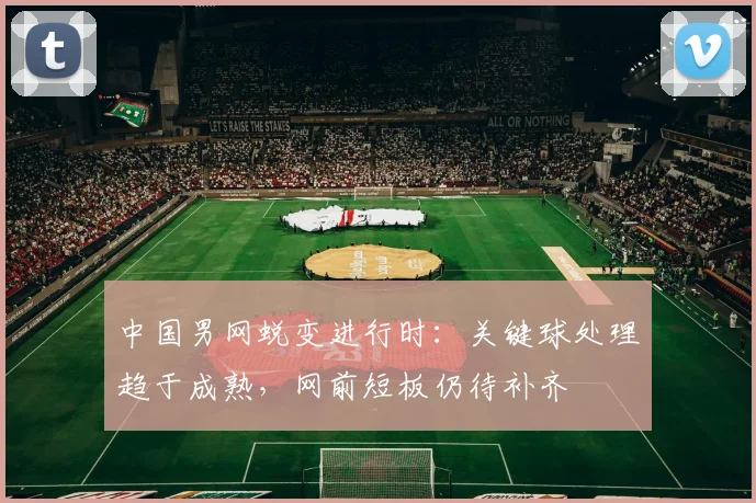 中国男网蜕变进行时：关键球处理趋于成熟，网前短板仍待补齐 - 南宫28推荐