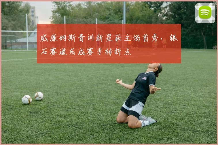 威廉姆斯青训新星获主场首秀，银石赛道或成赛季转折点 - 南宫28推荐