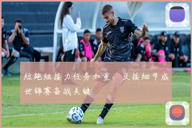 短跑组接力任务加重，交接细节成世锦赛备战关键 - 南宫28推荐