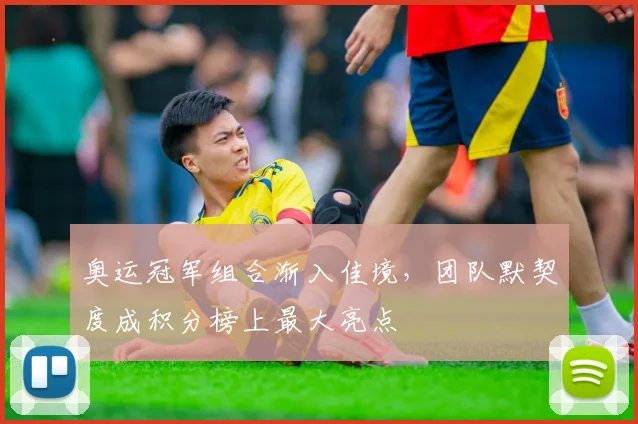奥运冠军组合渐入佳境，团队默契度成积分榜上最大亮点 - 南宫28推荐